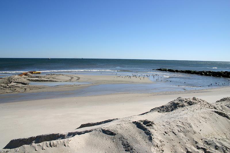 Day104 Hudson Ave Fill 3.JPG